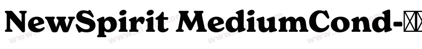 NewSpirit MediumCond字体转换